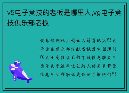 v5电子竞技的老板是哪里人,vg电子竞技俱乐部老板
